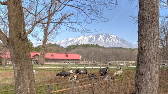 这里可体验挤牛奶、骑马、各种户外活动的乐趣，门票不贵，我去的