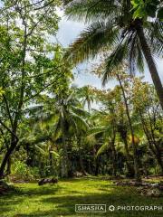 Ile aux Canards island