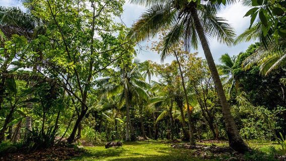 Ile aux Canards island