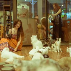 Cat 'n' A Cup Cat Cafe張用戶圖片