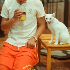 Cat 'n' A Cup Cat Cafe張用戶圖片