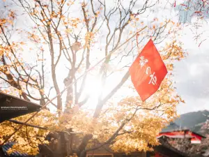 이세의 인기 가을 경치