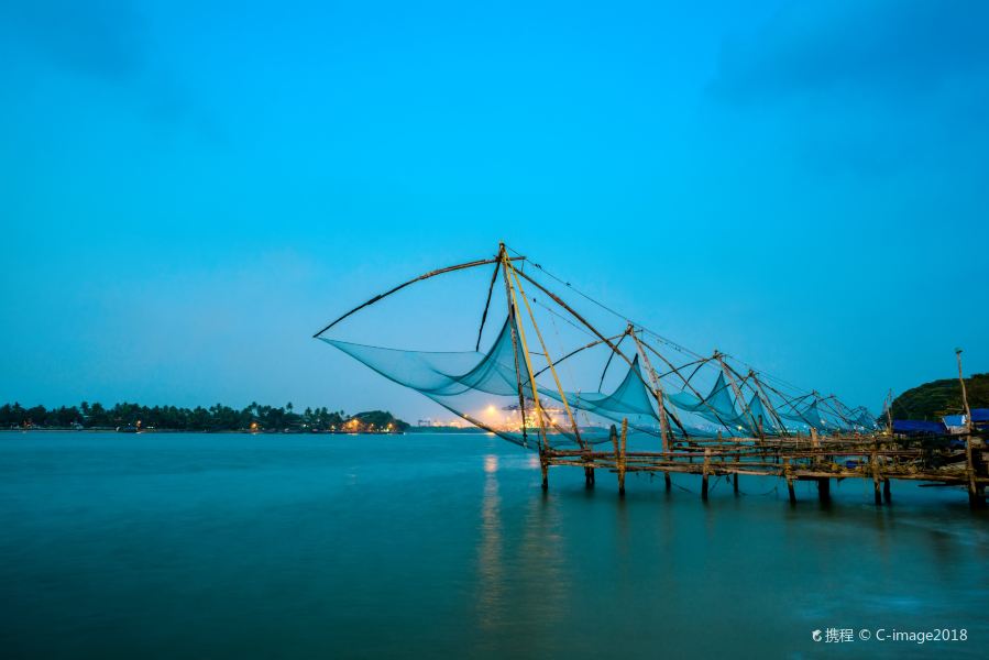 Shirdi to Kochi Flights