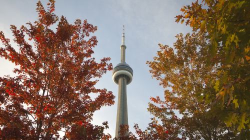 CN Tower