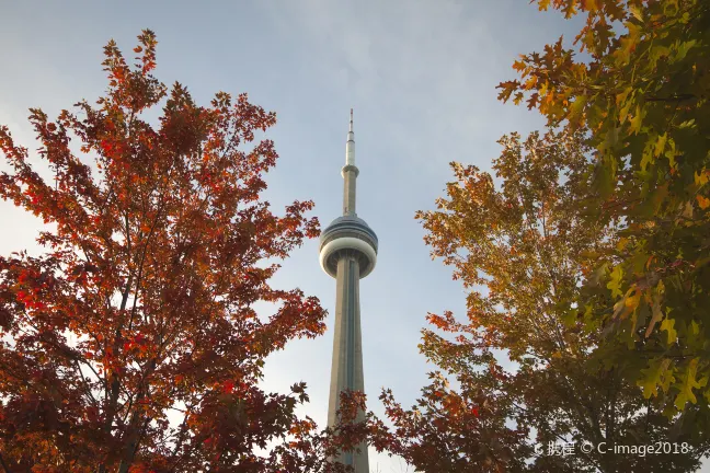Best Western Plus Stoneridge Inn  Conference Centre