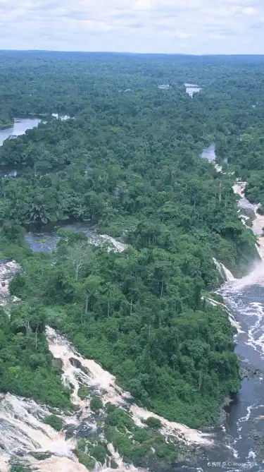 加蓬的寵物友善酒店