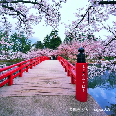 Malaysia Airlines Flights to Aomori