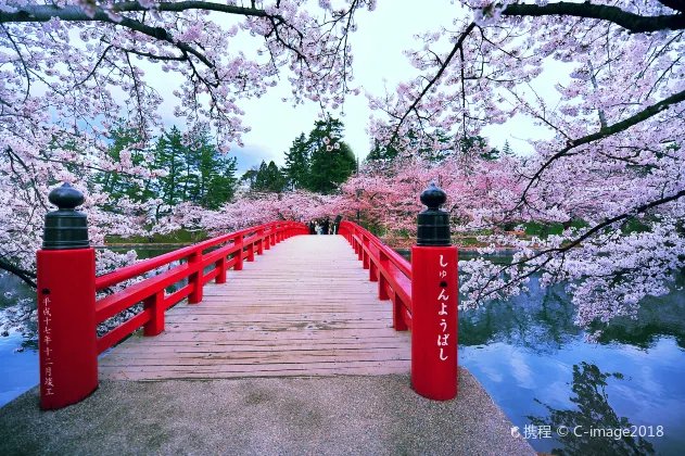 中央公園周辺のホテル