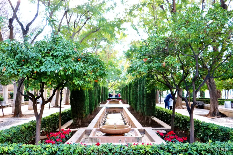 Jardines de S'Hort del Rei