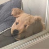 https://ak-d.tripcdn.com/images/100311000000rieiyD1A0.jpg