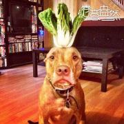 head-img
