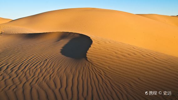 Private Day Tour to Kubuqi Desert from Hohhot