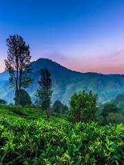 Little Adam's Peak