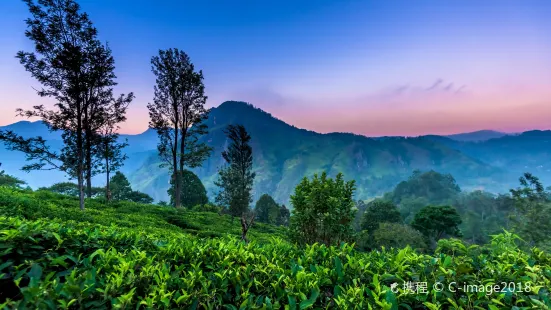 Little Adam's Peak