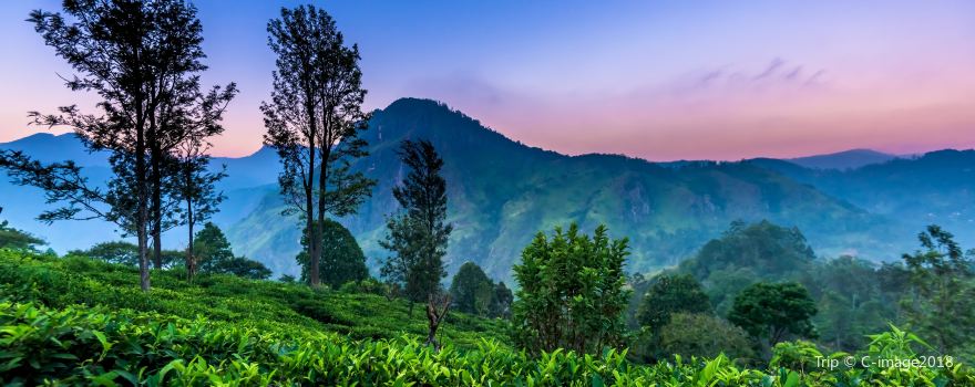 Little Adam's Peak