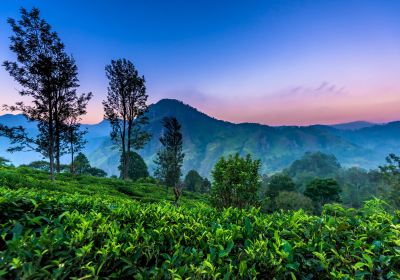 Uva Province