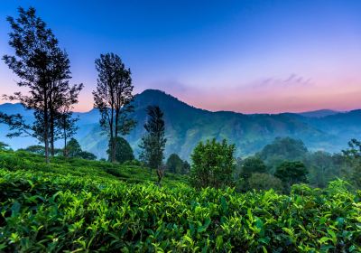 Little Adam's Peak