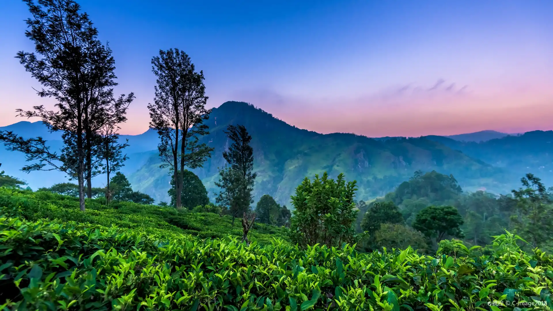 Hotels near Little Adam's Peak