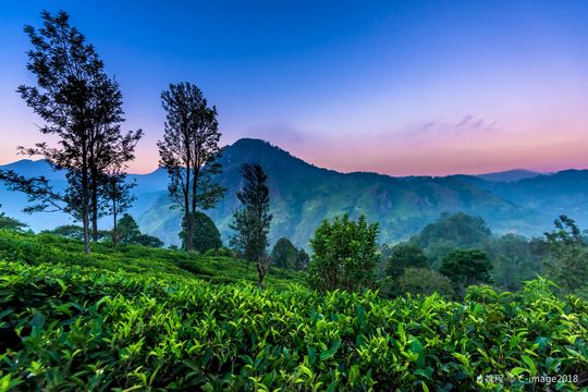 Little Adam's Peak