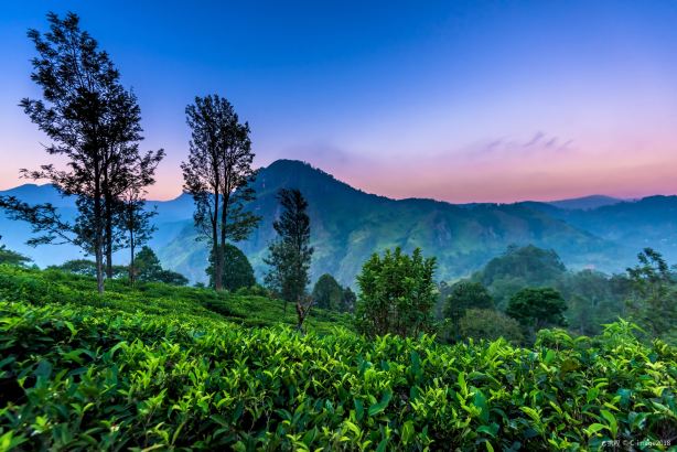 Little Adam's Peak