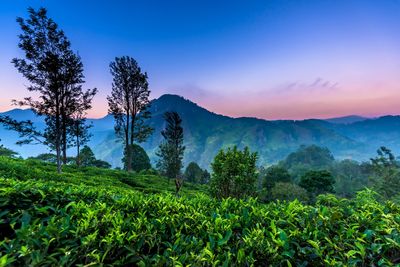 Little Adam's Peak