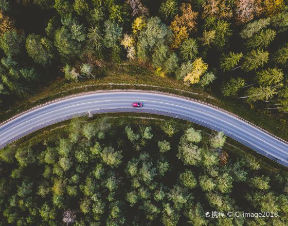 考納斯 自由行套票