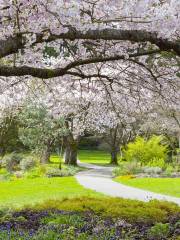 貴陽森林公園