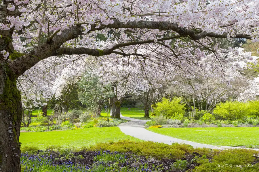 貴陽森林公園