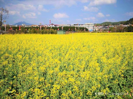 Baobao Farm