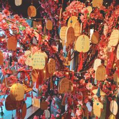 花果酒概念餐厅(鼓楼沿历史文化街区店) User Photo