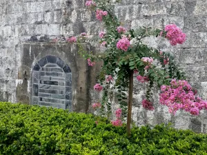 Nanjing City Wall