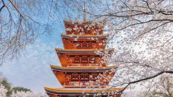 Yellow Crane Tower + Yangtze River Bridge + Jianghan Road Pedestrian Street + Hankou River Beach + Zhiyin guide and Translation G