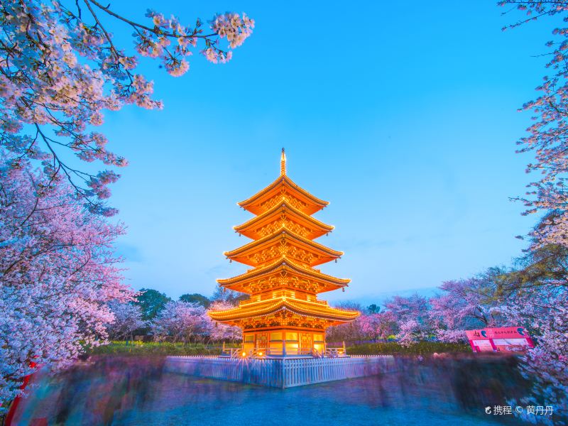 East Lake Cherry Blossom Garden