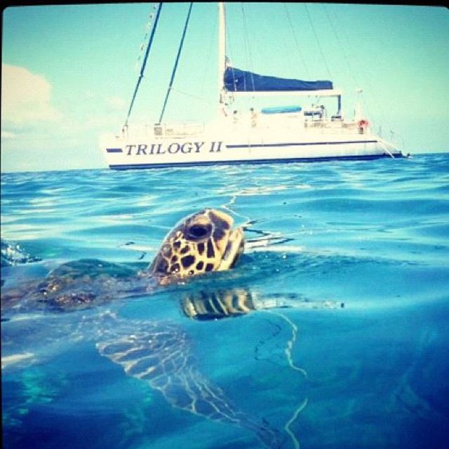 Lahaina Harbor