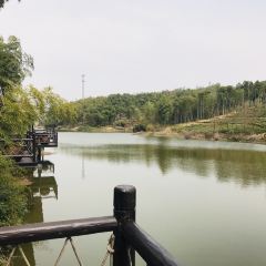 西塞山前白鹭湾餐厅 User Photo