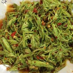 Longjingyuzhuang User Photo