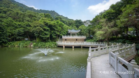 GuangzhouTravel Services