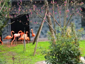Changsha Ecological Zoo