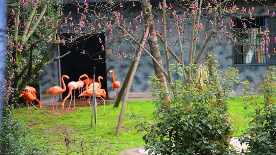 2_Changsha Ecological Zoo