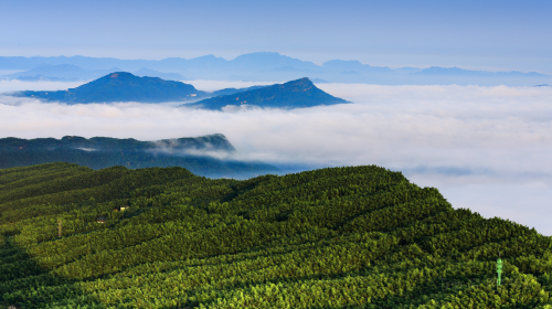 Shunan Zhuhai (“South Sichuan Bamboo Sea”) National Park