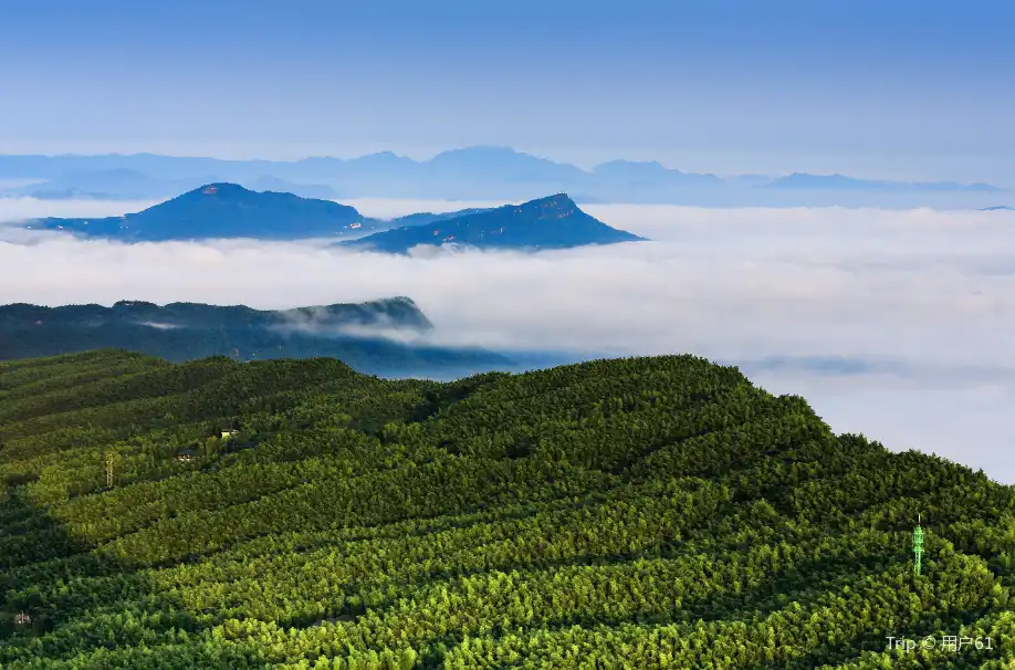 2_Southen Sichuan Bamboo Sea