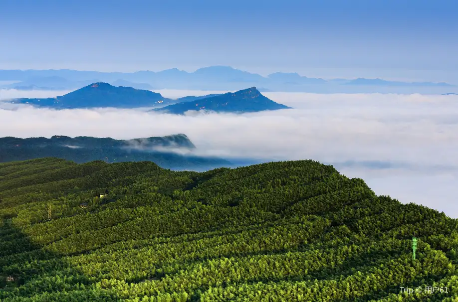 2_Southen Sichuan Bamboo Sea