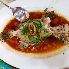 崖口人家 User Photo