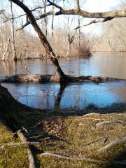 Nan Weston Nature Preserve at Sharon Hollow