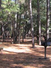 Hickory Nut Mountain Campground