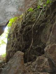 Cueva del Indio