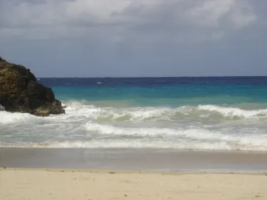Santa Cruz