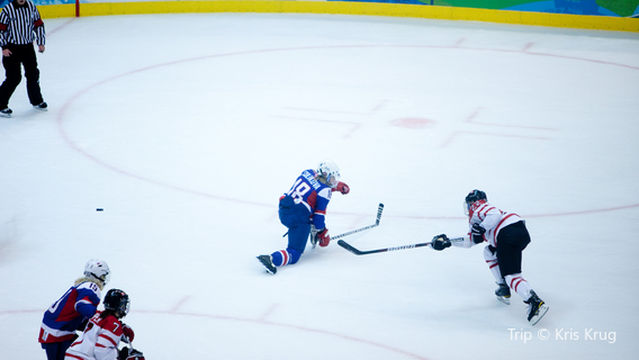 Brașov Olympic Ice Rink