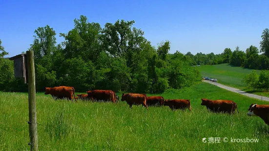 Chesapeake Farms