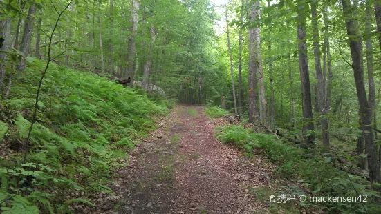 Tusten Mountain Trail